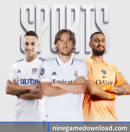 五大服务分区,信息按项目分类(nine game)